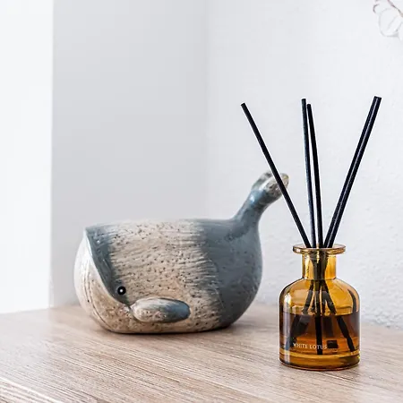 Ocean Breeze דירה